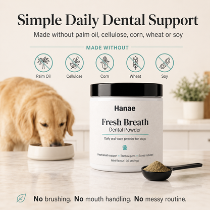 Dog Dental Powder