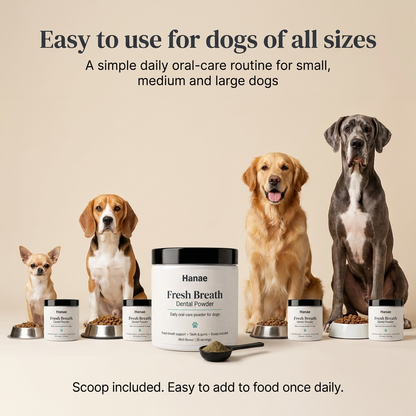 Dog Dental Powder