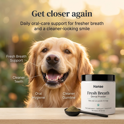 Dog Dental Powder